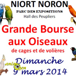 Bourse aux oiseaux à Niort-Noron (79), le dimanche 09 mars 2014