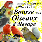 Bourse aux oiseaux à Chelles (77), le dimanche 02 mars 2014