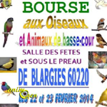 Bourse Oiseaux et Animaux de Basse-cour à Blargies (60), du samedi 22 au dimanche 23 février 2014