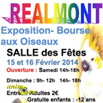 Bourse aux oiseaux à Realmont (81), du samedi 15 au dimanche 16 février 2014