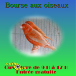 Bourse aux oiseaux au Breuil sur Couze (63), le dimanche 16 février 2014