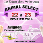 Salon des Animaux « Animal Select » en Avignon (84), du samedi 22 au dimanche 23 février 2014