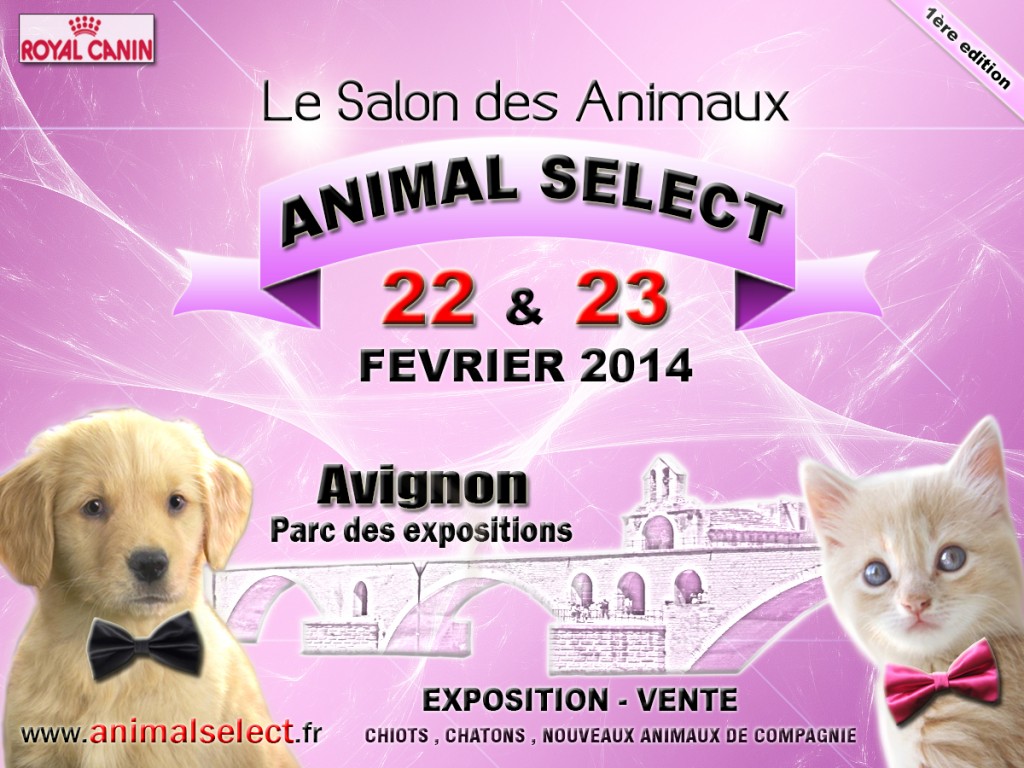 Salon des Animaux « Animal Select » en Avignon (84), du samedi 22 au dimanche 23 février 2014