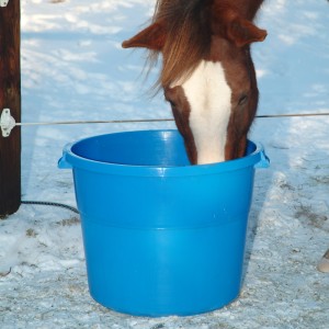 Santé : comment fournir de l'eau potable à nos chevaux en hiver ?
