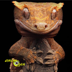 Le Gecko à crête, ou gecko à cils, ou Rhacodactylus ciliatus