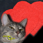 Fabriquez un jouet pour chat  qui a du cœur pour la Saint Valentin