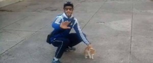 Marseille : un lancer condamné par la justice pour l'agresseur du chaton Oscar