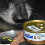 Alimentation : pâtée de convalescence pour chiens et chats, Canine-Feline Critical Care (Hill's Prescription Diet)