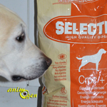 Alimentation : croquettes Sélection, Croc + (Royal Canin)