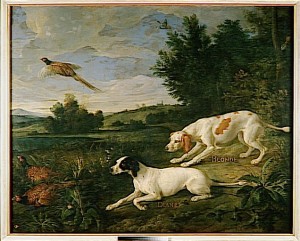 L'expression de la beauté animale par les artistes et naturalistes au fil des siècles