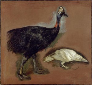 L'expression de la beauté animale par les artistes et naturalistes au fil des siècles