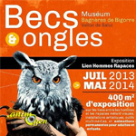 Exposition « Becs et ongles » à Bagnères de Bigorre (65), de juillet 2013 à mai 2014