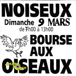 Bourse aux oiseaux à Noiseux (Belgique), le dimanche 09 mars 2014
