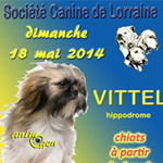 Exposition canine nationale dans la ville de Vittel (88), le dimanche 18 mai 2014