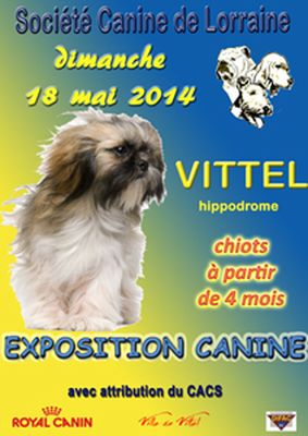 Exposition canine nationale dans la ville de Vittel (88), le dimanche 18 mai 2014