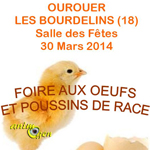 Foire aux œufs et poussins de race à Ourouer les Bourdelins (18), le dimanche 30 mars 2014