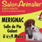 35 ème Salon animalier « Animal Focus » à Mérignac (33), du samedi 08 au dimanche 09 mars 2014