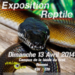 Exposition-Vente de reptiles à Rennes (35), le dimanche 13 avril 2014
