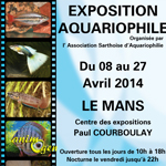 Exposition aquariophile au Mans (72), du mardi 08 au dimanche 27 avril 2014