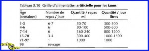 L'alimentation des faons durant le sevrage