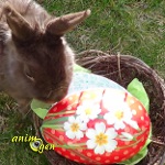 Le lapin de Pâques (origines et symbolique)