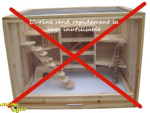 Accessoire : comment choisir la cage d’une souris ?