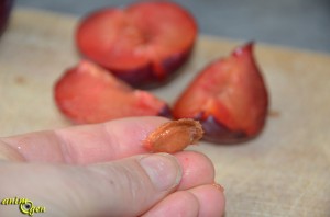 Alimentation : la prune rouge pour nos perroquets