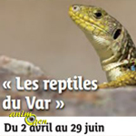 Exposition sur les reptiles du Var aux Mayons (83), du mercredi 02 avril au jeudi 29 juin 2014
