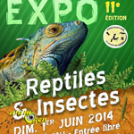 Exposition Reptiles et Insectes à Croix (59), le dimanche 01 er juin 2014