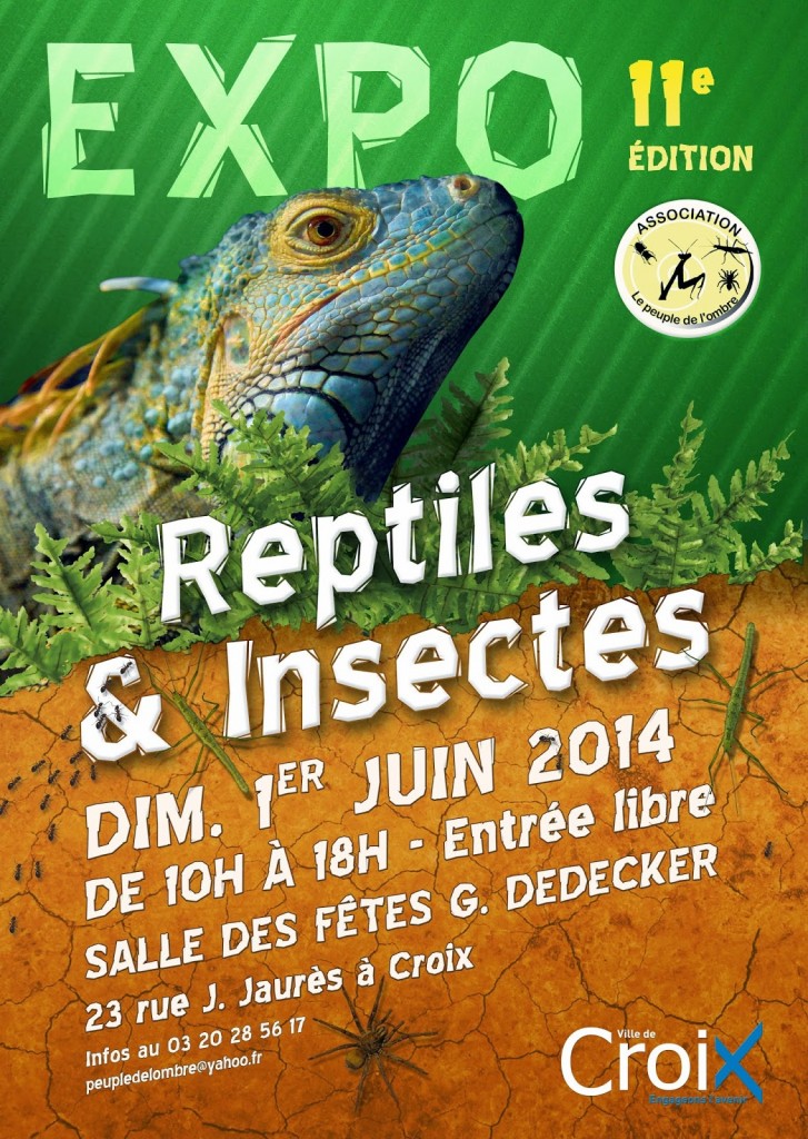 Exposition Reptiles et Insectes à Croix (59), le dimanche 01 er juin 2014