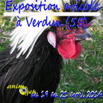 Exposition avicole à Verdun (55), du samedi 19 au lundi 21 avril 2014