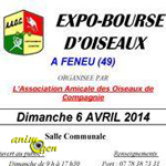 12 ème Exposition-Bourse d'oiseaux à Feneu (49), le dimanche 06 avril 2014