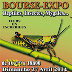 Bourse-exposition d'insectes et reptiles à Flers en Escrebieux (59), le dimanche 27 avril 2014