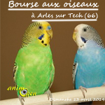 Bourse aux oiseaux d’Arles sur Tech (66), le dimanche 13 avril 2014