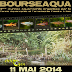 4 ème Bourse aquariophile « Bourseaqua » à Béthune (62), le dimanche 11 mai 2014
