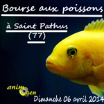 Bourse aux poissons à Saint Pathus (77), le dimanche 06 avril 2014