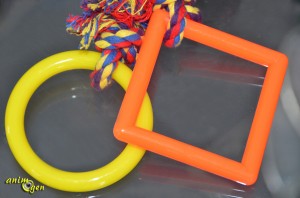 Jeu pour moyen et grand perroquet : jeu en corde, bois et plastique Taille 3 (Zolux)