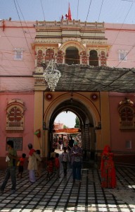 Le temple de Karni Mata, sanctuaire des rats