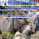 19 ème Fête de l’Âne et des animaux de la ferme à Roquevaire (13), jeudi 01 er mai 2014