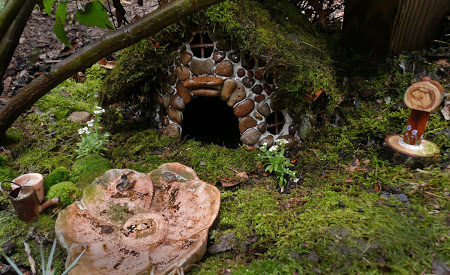 Quel type d'aménagements prévoir pour le terrarium d'une grenouille ?