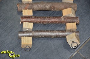 Fabrication d'un accessoire double emploi (perchoir et échelle) pour nos perroquets