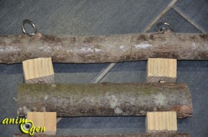 Fabrication d'un accessoire double emploi (perchoir et échelle) pour nos perroquets