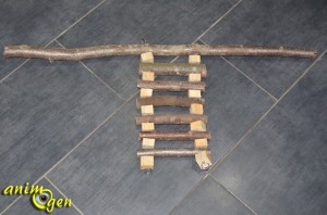 accessoire-perchoir-échelle-combiné-bois-pin-noisetier-fabriquer-fabrication-idée-tuto-tutoriel-étape-test-avis-perroquet-oiseau-psittacidé-animal-animaux-compagnie-animogen-4