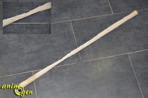 Fabrication d'un accessoire double emploi (perchoir et échelle) pour nos perroquets