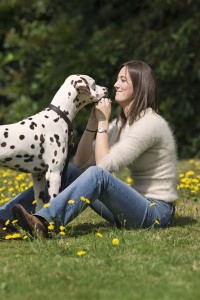 Comportement : pourquoi donnons-nous de l'affection à notre chien ?