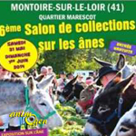 6 ème Salon de collections sur les ânes à Montoire sur le Loir (41), du samedi 31 mai au dimanche 01 er juin 2014