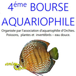 4 ème Bourse Aquariophile à Orchies (59), le dimanche 15 juin 2014