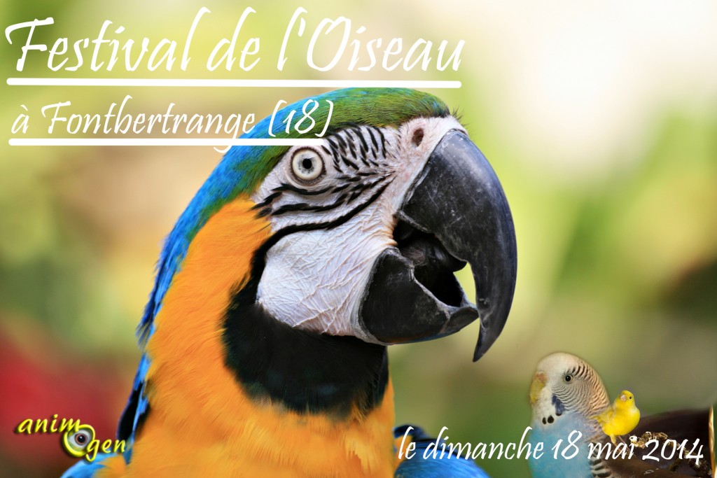 Festival de l'Oiseau à Fontbertrange (18), le dimanche 18 mai 2014