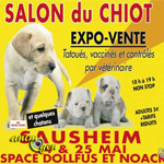 Salon du Chiot à Sausheim (68), du samedi 24 au dimanche 25 mai 2014