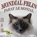Exposition féline "Mondial Félin" à Paray le Monial (71), du samedi 31 mai au dimanche 1 er juin 2014